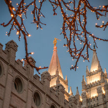 Load image into Gallery viewer, Salt Lake City Temple He Giveth Light