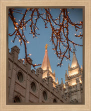 Load image into Gallery viewer, Salt Lake City Temple He Giveth Light Gallery Wrap