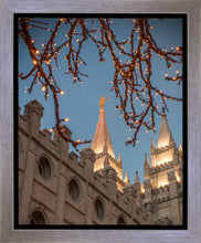 Load image into Gallery viewer, Salt Lake City Temple He Giveth Light Gallery Wrap