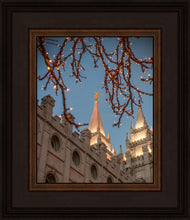 Load image into Gallery viewer, Salt Lake City Temple He Giveth Light