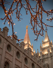 Load image into Gallery viewer, Salt Lake City Temple He Giveth Light Gallery Wrap