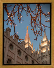 Load image into Gallery viewer, Salt Lake City Temple He Giveth Light Gallery Wrap