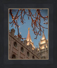 Load image into Gallery viewer, Salt Lake City Temple He Giveth Light