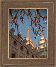 Load image into Gallery viewer, Salt Lake City Temple He Giveth Light