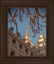 Load image into Gallery viewer, Salt Lake City Temple He Giveth Light