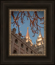 Load image into Gallery viewer, Salt Lake City Temple He Giveth Light
