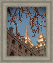 Load image into Gallery viewer, Salt Lake City Temple He Giveth Light