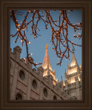 Load image into Gallery viewer, Salt Lake City Temple He Giveth Light