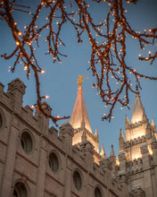 Load image into Gallery viewer, Salt Lake City Temple He Giveth Light