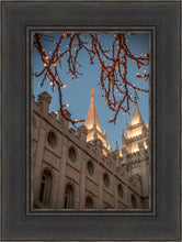 Load image into Gallery viewer, Salt Lake City Temple He Giveth Light