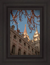 Load image into Gallery viewer, Salt Lake City Temple He Giveth Light