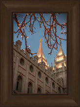 Load image into Gallery viewer, Salt Lake City Temple He Giveth Light