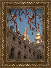 Load image into Gallery viewer, Salt Lake City Temple He Giveth Light
