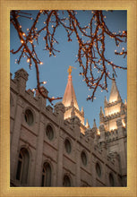 Load image into Gallery viewer, Salt Lake City Temple He Giveth Light