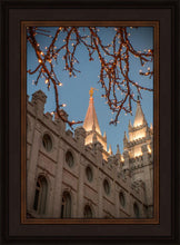 Load image into Gallery viewer, Salt Lake City Temple He Giveth Light