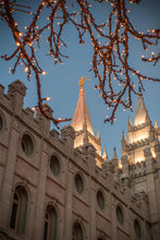 Load image into Gallery viewer, Salt Lake City Temple He Giveth Light