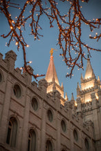 Load image into Gallery viewer, Salt Lake City Temple He Giveth Light Gallery Wrap