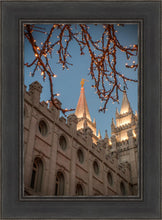 Load image into Gallery viewer, Salt Lake City Temple He Giveth Light