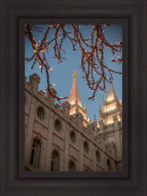 Load image into Gallery viewer, Salt Lake City Temple He Giveth Light