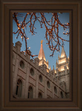 Load image into Gallery viewer, Salt Lake City Temple He Giveth Light