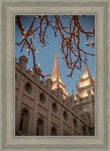 Load image into Gallery viewer, Salt Lake City Temple He Giveth Light