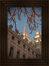 Load image into Gallery viewer, Salt Lake City Temple He Giveth Light