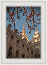 Load image into Gallery viewer, Salt Lake City Temple He Giveth Light