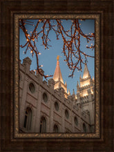 Load image into Gallery viewer, Salt Lake City Temple He Giveth Light