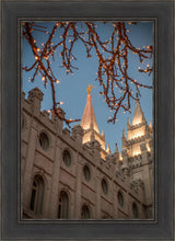 Load image into Gallery viewer, Salt Lake City Temple He Giveth Light