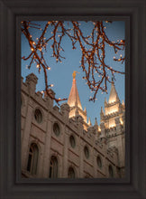 Load image into Gallery viewer, Salt Lake City Temple He Giveth Light