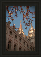Load image into Gallery viewer, Salt Lake City Temple He Giveth Light