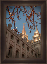 Load image into Gallery viewer, Salt Lake City Temple He Giveth Light