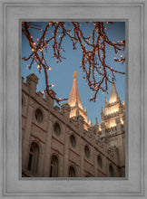 Load image into Gallery viewer, Salt Lake City Temple He Giveth Light