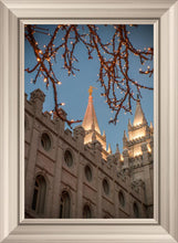 Load image into Gallery viewer, Salt Lake City Temple He Giveth Light