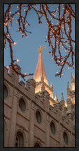 Load image into Gallery viewer, Salt Lake City Temple He Giveth Light Gallery Wrap