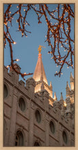 Load image into Gallery viewer, Salt Lake City Temple He Giveth Light Gallery Wrap