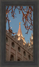 Load image into Gallery viewer, Salt Lake City Temple He Giveth Light