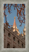 Load image into Gallery viewer, Salt Lake City Temple He Giveth Light