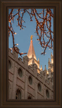 Load image into Gallery viewer, Salt Lake City Temple He Giveth Light