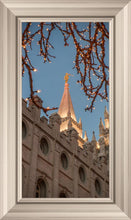 Load image into Gallery viewer, Salt Lake City Temple He Giveth Light