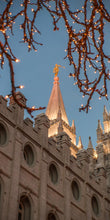 Load image into Gallery viewer, Salt Lake City Temple He Giveth Light