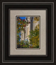 Load image into Gallery viewer, Salt Lake City Temple His Declaration