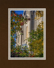 Load image into Gallery viewer, Salt Lake City Temple His Declaration