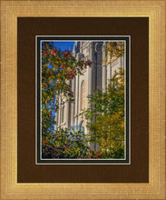 Load image into Gallery viewer, Salt Lake City Temple His Declaration