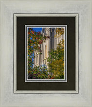 Load image into Gallery viewer, Salt Lake City Temple His Declaration