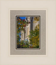 Load image into Gallery viewer, Salt Lake City Temple His Declaration