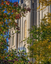 Load image into Gallery viewer, Salt Lake City Temple His Declaration Gallery Wrap