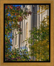 Load image into Gallery viewer, Salt Lake City Temple His Declaration Gallery Wrap