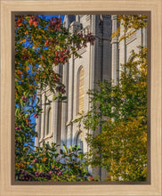 Load image into Gallery viewer, Salt Lake City Temple His Declaration Gallery Wrap