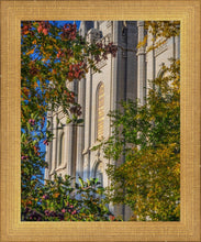 Load image into Gallery viewer, Salt Lake City Temple His Declaration
